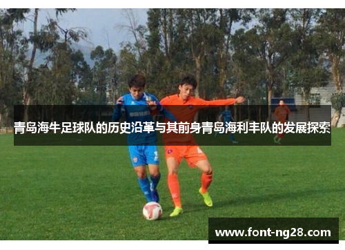青岛海牛足球队的历史沿革与其前身青岛海利丰队的发展探索